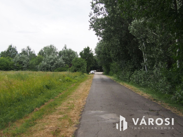 Iparterület Szeged és Vásárhely között, a Tisza hídnál!