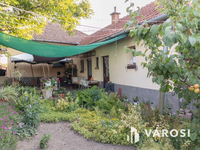 Otthon, ahol új emlékek születhetnek, Sándorfalván